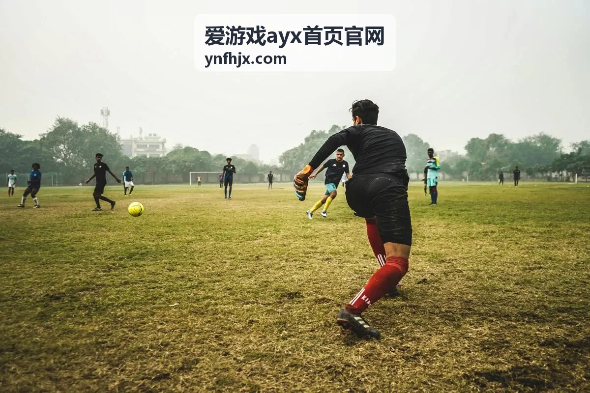 爱游戏ayx首页官网首页排序规则调整封面